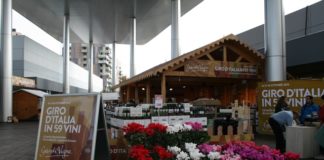 giro d'italia in 49 vini Grandi Vigne