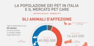 pet food