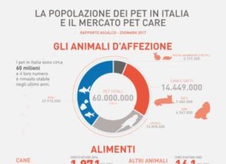 pet food