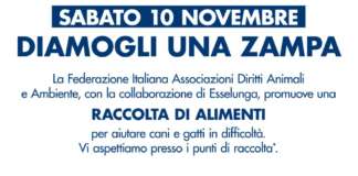 MANIFESTO COLLETTA PETFOOD 10novembre2018 esselunga