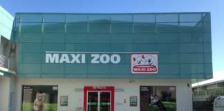 Maxi Zoo - Alba