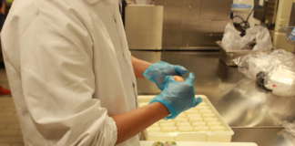 central kitchen sushi daily