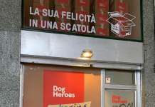 Dog Heroes