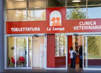 Ca’ Zampa, una smart clinic studiata per gli animali domestici