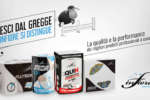 Infiore Selection, Celtex Industrie