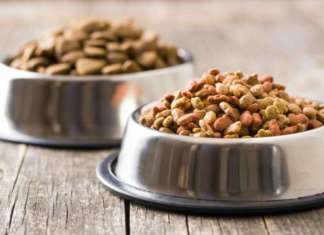 Chi compra prodotti per pet online è guidato dalla routine prodotti per pet