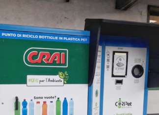 Codè Crai Ovest stila il profilo del consumatore consapevole