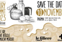 Dairy Summit