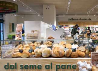 Sviluppo rete in Area 2 dal 7 al 14 giugno 2024