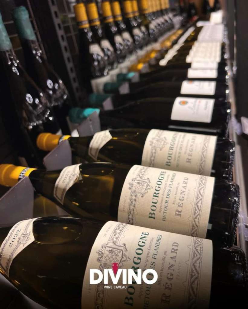 Gallery. Divino Wine Caveau: il format di Sisa Calabria