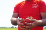 Petti: la passata ai 6 pomodori La Completa vince il premio Eletto Prodotto dell’Anno 2025 Coltivatore Petti mostra pomodori freschi raccolti a mano, ingredienti della passata ai 6 pomodori Petti, simbolo di qualità italiana.