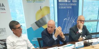 Sait Coop rafforzerà nel 2025 il suo sistema di gestione