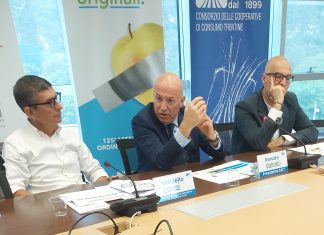 Sait Coop rafforzerà nel 2025 il suo sistema di gestione Sait Coop rafforzerà nel 2025 il suo sistema di gestione