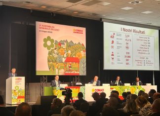 Conad Nord Ovest: nel 2024 un fatturato di 5,33 miliardi di euro