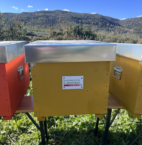 4 Mangiatoie Rapide R Tonde Per Api - Alimentatore Superiore Per Alveare In Plastica - Capacità 0,5L Con Tazza Trasparente Antiannegamento