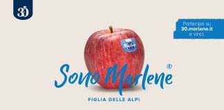 Mela Marlene® con logo e scritta ‘Sono Marlene, figlia delle Alpi’, immagine della campagna Marlene® festeggia 30 anni e invita a partecipare al concorso su 30.marlene.it