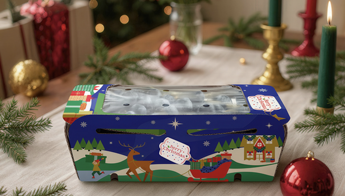 Hortifrut 2025 Berry Christmas Confezione natalizia Berry Christmas decorata con renne e slitta su tavola festiva, simbolo di packaging stagionale per prodotti a base di frutti di bosco