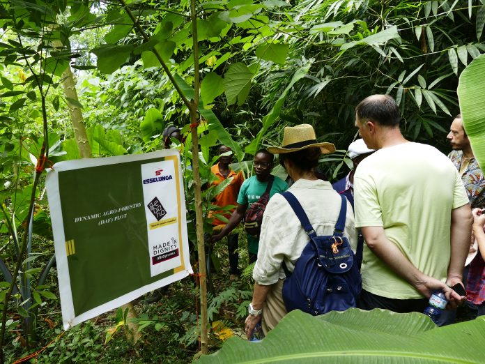 Cacao sostenibile Esselunga Altroconsumo