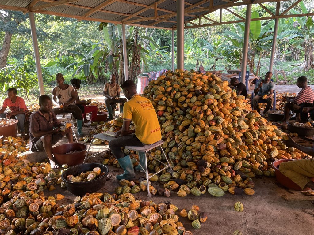 Cacao sostenibile Esselunga Altroconsumo