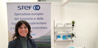 Stef servizi gdo