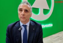 Despar: nel 2026 proseguono innovazione e revisione #Marca26 Despar innovazione