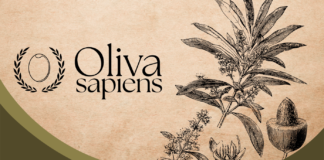 Logo Oliva Sapiens di Madama Oliva con illustrazioni botaniche di piante di olivo su sfondo stile carta antica