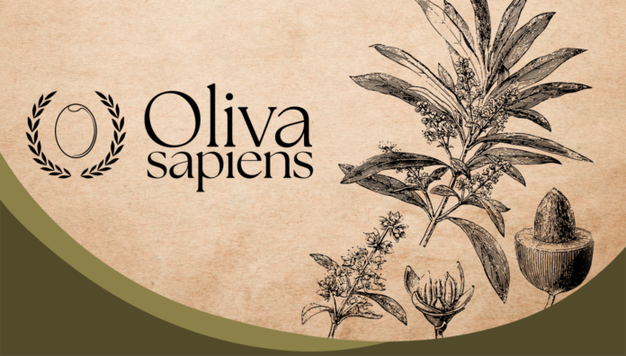 Logo Oliva Sapiens di Madama Oliva con illustrazioni botaniche di piante di olivo su sfondo stile carta antica