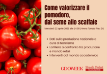 Come valorizzare il pomodoro, dal seme allo scaffale