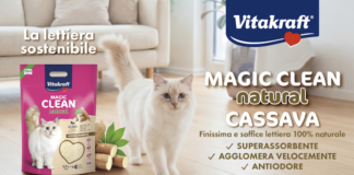 Confezione e caratteristiche della lettiera vegetale Vitakraft Magic Clean Natural Cassava con gatto bianco in ambiente domestico