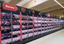 Sviluppo rete in Area 4 dal 12 al 19 giugno 2026