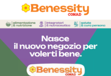 Benessity QBerg