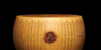 Una forma intera di Parmigiano Reggiano di montagna DOP su sfondo scuro, con lo scalzo che mostra chiaramente la marchiatura a puntini "PARMIGIANO REGGIANO" ripetuta e il bollo della certificazione di qualità impresso al centro