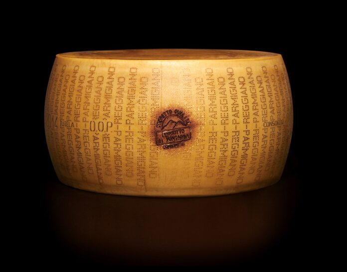 Parmigiano reggiano di montagna 2026 Una forma intera di Parmigiano Reggiano di montagna DOP su sfondo scuro, con lo scalzo che mostra chiaramente la marchiatura a puntini