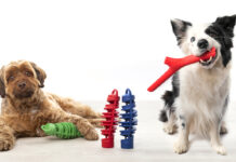 Due cani in posa su un pavimento chiaro con giochi colorati per animali domestici della linea Bamapet: a sinistra un cane marrone a pelo lungo è sdraiato accanto a un gioco verde, al centro ci sono due giochi a spirale verticali (uno rosso e uno blu), a destra un cane border collie bianco e nero tiene in bocca un gioco rosso a forma di ramo, su sfondo bianco