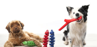 Due cani in posa su un pavimento chiaro con giochi colorati per animali domestici della linea Bamapet: a sinistra un cane marrone a pelo lungo è sdraiato accanto a un gioco verde, al centro ci sono due giochi a spirale verticali (uno rosso e uno blu), a destra un cane border collie bianco e nero tiene in bocca un gioco rosso a forma di ramo, su sfondo bianco