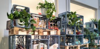 Dieci brand al mercato coperto a Milano: il Mistral Morning Club Mistral Morning Club