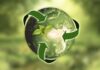 Ecolight Servizi: international services grow by 147%