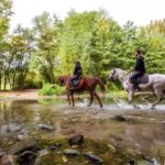 Un uomo e una donna a cavallo nel Casentino