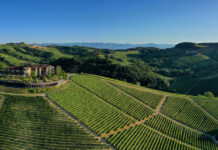 SLH fa “shopping” nelle Langhe: entra in portfolio Il Boscareto Resort & Spa