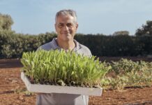 Coltivare futuro: la Casa delle sementi di Borgo Egnazia