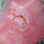 Il laser in patologia orale: peculiarità e differenti modalità d’impiego