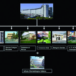 Risultati dell’utilizzo della telemedicina nelle scienze chirurgiche come ausilio al trattamento multidisciplinare del carcinoma del cavo orale