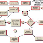Diabete e malattia parodontale
