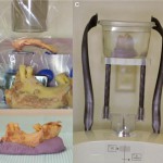 Tomografia computerizzata cone beam in Endodonzia