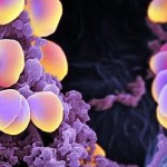 Medici di tutto il mondo uniti contro le malattie infettive malattie infettive malattie croniche