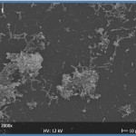 Attività antibatterica dei sistemi adesivi smalto dentinali contenenti clorexidina