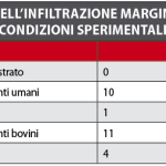 Microinfiltrazione dei materiali da restauro: una caratteristica da non sottovalutare