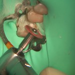 Ė di scena la protesi