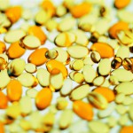 Bifosfonati: drug holiday DM_il dentista moderno_infermieri_farmaci_aifa