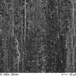 Relazione tra grado di finitura cavitaria e qualità dell’interfaccia adesiva di due sistemi self-etching. Studio al SEM e analisi della letteratura